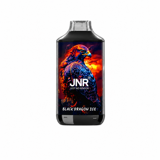 Vape Descartável Black Dragon Ice – JNR Falcon 16K