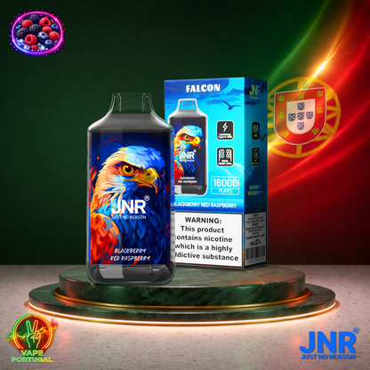 Vape descartável JNR Falcon 16K sabor Blackberry Red Raspberry 16000 puffs 16K tragadas mais barato