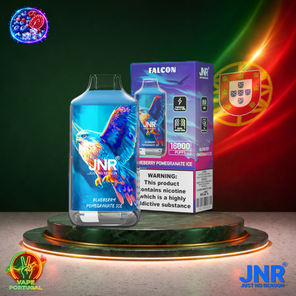 Vape descartável JNR Falcon 16K sabor Blueberry Pomegranate Ice 16000 puffs 16K tragadas mais barato