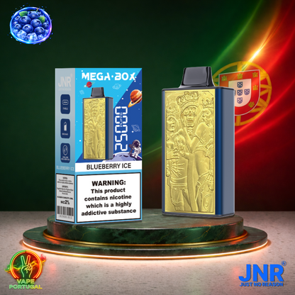 Vape descartável JNR Mega Box 25K sabor Blueberry Ice 25000 puffs 25K tragadas mais barato
