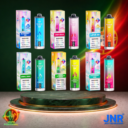 Vape descartável JNR Shisha Hookah Max 22K (Vista Frontal) em vários sabores 22000 puffs 22K tragadas mais barato