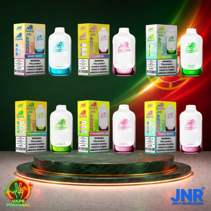 Vape descartável JNR Lion King 42K sabor Mix 2 42000 puffs 42K tragadas mais barato
